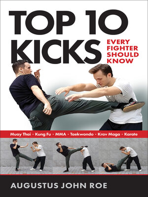 cover image of Top 10 Kicks